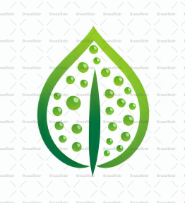 Tautropfen auf einem Blatt